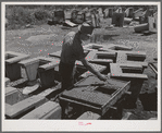 Making irrigation tile. Canyon County, Idaho. Practically all agriculture depends upon irrigation in this county