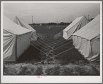 Tents in the mobile unit of the FSA (Farm Security Administration) labor camp. Nampa, Idaho