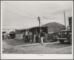 Commissary in the labor contractor's pea pickers camp. Canyon County, Idaho