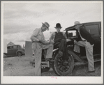 Pea pickers talking in camp. Canyon County, Idaho