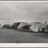 Tents and trailers in pea pickers' (labor contractor) camp. Canyon County, Idaho