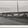 Pea pickers' (labor contractor) camp. Canyon County, Idaho