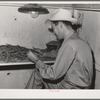State inspector examining peas. Canyon County, Idaho