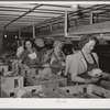 Cleaning lettuce and packing it for shipment. Canyon County, Idaho