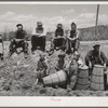 Pea pickers waiting to start work. Canyon County, Idaho. These pickers travel with a labor contractor. The children who are shown are not necessarily pickers. Since the camp was near by the field and it seemed to be customary for the children to follow
