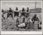 Pea pickers waiting to start work. Canyon County, Idaho. These pickers travel with a labor contractor. The children who are shown are not necessarily pickers. Since the camp was near by the field and it seemed to be customary for the children to follow