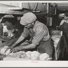 Packing lettuce in crates for shipment. Canyon County, Idaho