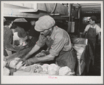 Packing lettuce in crates for shipment. Canyon County, Idaho