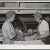 Packing lettuce in crates for shipment. Canyon County, Idaho