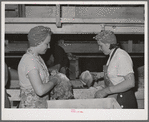Packing lettuce in crates for shipment. Canyon County, Idaho