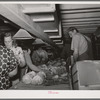 Grading and packing lettuce for shipment. Canyon County, Idaho
