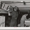 In the lettuce packing plant. Canyon County, Idaho