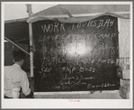 Bulletin board in labor contractor's camp (pea pickers). Canyon County, Idaho