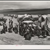 Labor contractor's pea pickers camp. Canyon County, Idaho. The people are waiting to go to the fields