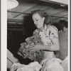 Packing lettuce for shipment. Canyon County, Idaho