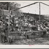 Spectators at the baseball game on the Fourth of July at Vale, Oregon