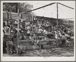 Spectators at the baseball game on the Fourth of July at Vale, Oregon