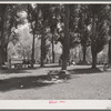 Picnicking in the shade. Fourth of July, Vale, Oregon