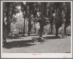 Picnicking in the shade. Fourth of July, Vale, Oregon