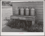 Milk cans on farm of member of the Dairymen's Cooperative Creamery. Caldwell, Canyon County, Idaho. The slogan of the co-op has been "Every Member a Fieldman"