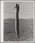 Fence on Cruzen Ranch. Valley County, Idaho. AAA (Agricultural Adjustment Administration) has painted out this fence as being an outstanding type for ranch use. It keeps out predators (wolves, etc.), the wire is stapled loosely to allow for expansion and