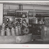 Sterilizing milk cans at the Dairymen's Cooperative Creamery. Caldwell, Canyon County, Idaho