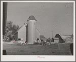 Barn and feedlot of farm of member of the Dairymen's Cooperative Creamery. Caldwell, Canyon County, Idaho