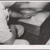 Draining off buttermilk from churn at the Dairymen's Cooperative Creamery. Caldwell, Canyon County, Idaho. The buttermilk is dried and marketed as feed