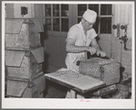 Putting layer of waxed paper over tub of butter at the Dairymen's Cooperative Creamery. Caldwell, Canyon County, Idaho