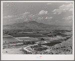 Cherry orchards at Emmett, Gem County, Idaho. Notice the wide irrigation ditches. Water for irrigation is supplied by the Black Canyon Reservoir