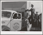 Collecting cans of milk and cream at farm of member of the Dairymen's Cooperative Creamery. Caldwell, Canyon County, Idaho