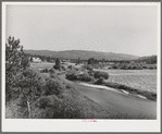 Scene in Garden Valley, Boise County, Idaho. The valley is lush and green, spotted with small farms and the many hay fields indicate the importance of dairying