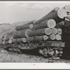Logs on flat cars at Cascade, Idaho. The state of Idaho now has about 81 billion feet of old growth lumber standing, 8.8 percent is owned by the State; 30.3 percent privately owned and 60.9 percent by the federal government