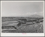 Farming land and cherry orchards. Emmett, Gem County, Idaho