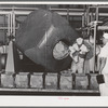 Taking butter out of churns at the Dairymen's Cooperative Creamery. Caldwell, Canyon County, Idaho. These are some of the most modern churns in the United States. All butter of this creamery is marketed through the Challenge Butter and Cream Association,