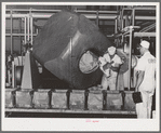 Taking butter out of churns at the Dairymen's Cooperative Creamery. Caldwell, Canyon County, Idaho. These are some of the most modern churns in the United States. All butter of this creamery is marketed through the Challenge Butter and Cream Association,