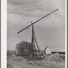 Hay stacker and hay stack on farm of member of the Dairymen's Cooperative Creamery. Caldwell, Canyon County, Idaho