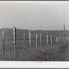Fence on Cruzen Ranch. Valley County, Idaho. This fence has been singled out by AAA (Agricultural Adjustment Administration) as a desirable type for cattle ranches. Mr. Cruzen is not on the AAA program, but the AAA has been most interested in some of the