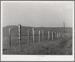 Fence on Cruzen Ranch. Valley County, Idaho. This fence has been singled out by AAA (Agricultural Adjustment Administration) as a desirable type for cattle ranches. Mr. Cruzen is not on the AAA program, but the AAA has been most interested in some of the