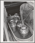 Member of the Dairymen's Cooperative Creamery cooling fresh milk in water trough on his farm. Caldwell, Canyon County, Idaho