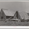 Barns. Garden Valley, Boise County, Idaho
