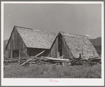 Barns. Garden Valley, Boise County, Idaho