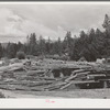 Logs in pond. Cascade, Idaho