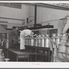 Unloading cans of milk and cream from truck to belt conveyer at Dariymen's Cooperative Creamery. Caldwell, Canyon County, Idaho