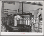 Unloading cans of milk and cream from truck to belt conveyer at Dariymen's Cooperative Creamery. Caldwell, Canyon County, Idaho