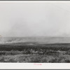 Grass fire. Canyon County, Idaho