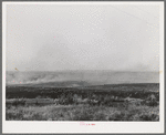 Grass fire. Canyon County, Idaho
