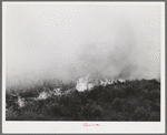 Detail of grass fire in Canyon County, Idaho