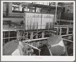 Scene in Dairymen's Cooperative Creamery. Caldwell, Canyon County, Idaho. Churns are in foreground, pasteurizing equipment in background