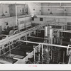 Pasteurizing equipment at the Dairymen's Cooperative Creamery. Caldwell, Canyon County, Idaho